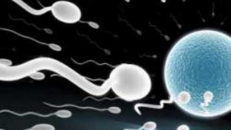 Heboh, UGM Bikin Acara Donor Sperma Massal