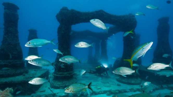 makam bawah laut miami