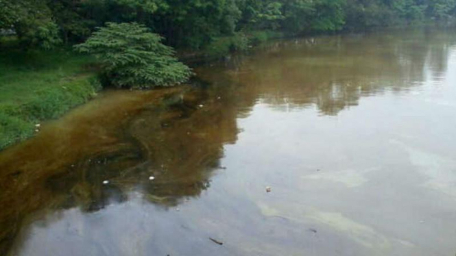 Ribuan liter oli cemari Sungai Cisadane