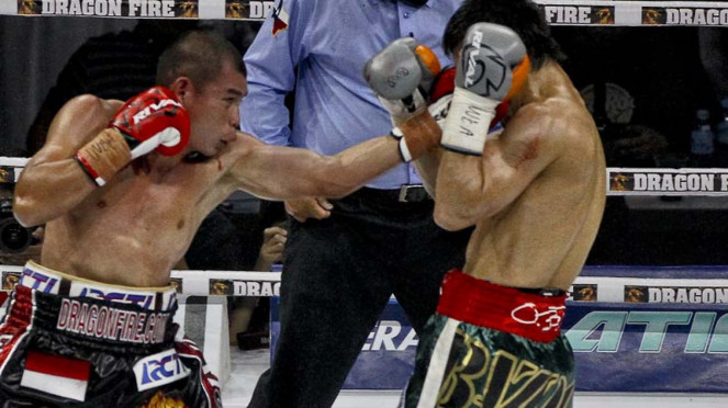 Chris John vs Satoshi Hosono