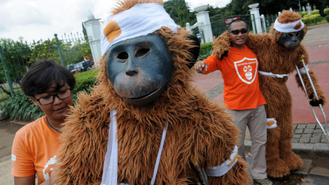 Demo Centre of Orangutan Protection