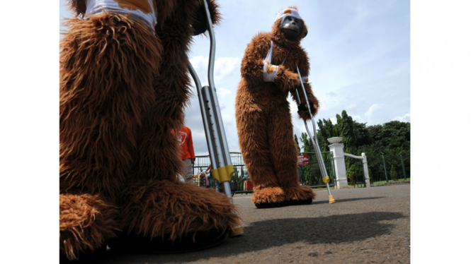 Demo Centre of Orangutan Protection