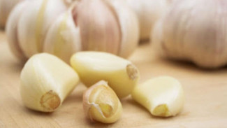 Pestisida dari Bawang Putih, Ternyata Ampuh Basmi Hama Ulat