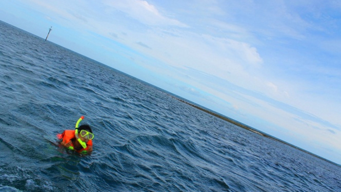 Snorkeling di pulau Harapan