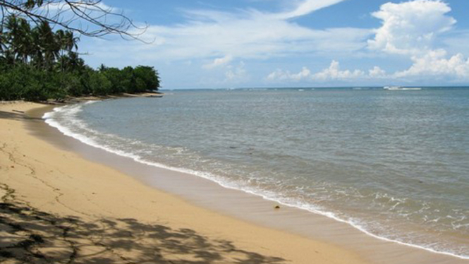 Pantai Tanjung Kasuari