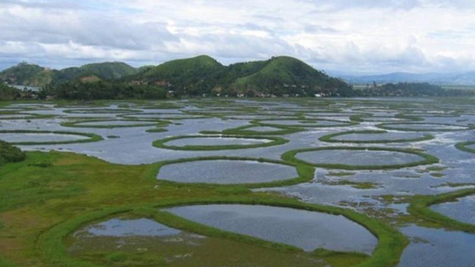 danau loktak india