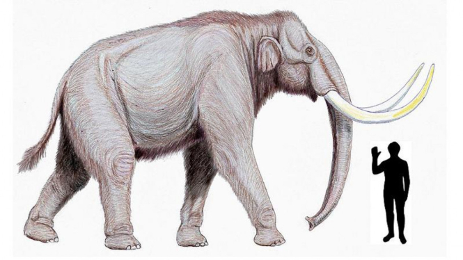 Ilustrasi mammoth