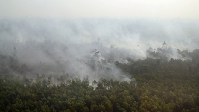 Kebakaran Hutan dan Lahan di Riau