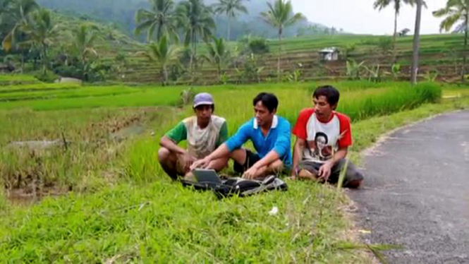 Warga desa internetan di sawah.