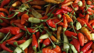 Harga Cabai Meroket, Rawit Merah Tembus Rp132 Ribu per Kg!