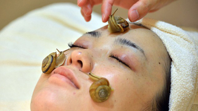 Facial siput