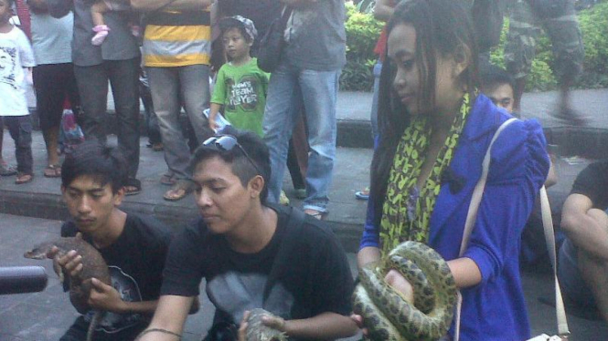 Penggemar reptil dari Komunitas Barcode Bali