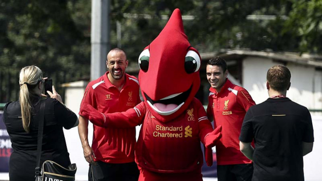 640 Gambar gambar maskot liverpool Terbaru