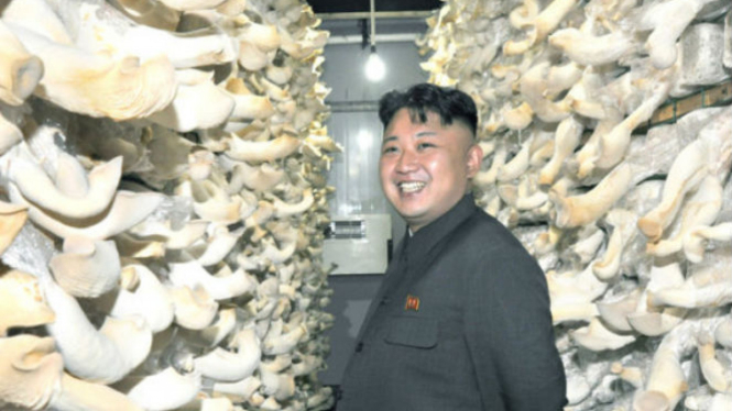 Kim Jong Un saat berada diladang Jamur