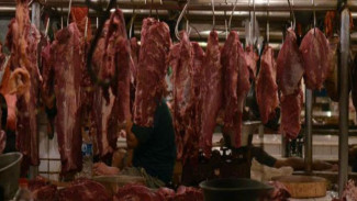 Pemerintah Gagal Urus Daging Sapi