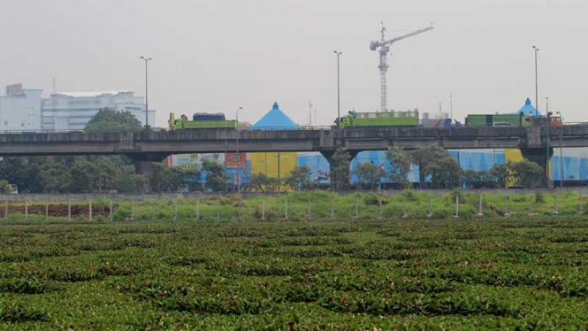 Rencana Normalisasi Waduk Ria Rio