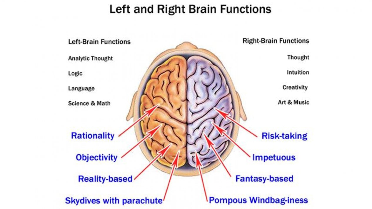 Peneliti Otak Kiri Dan Kanan Itu Hanya Mitos