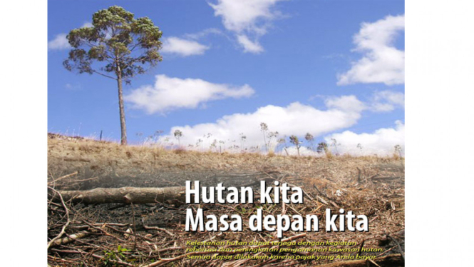 Menyikapi Pengelolaan Hutan Indonesia