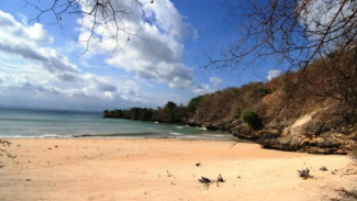 Menguak Kecantikan Pink Beach di Lombok Timur