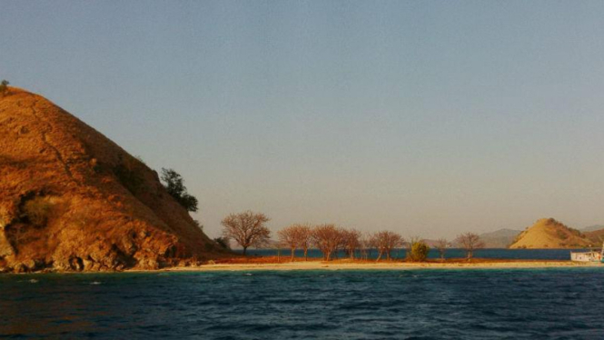 Ekspedisi Terios 7 Wonders di Pulau Komodo