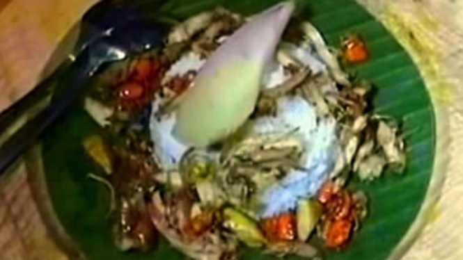 Nasi Ayam Suwir Kecombrang