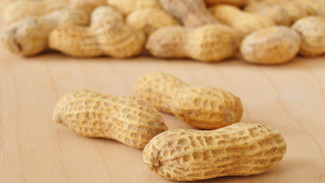 Makan Kacang Tanah Bisa Picu Asam Urat, Benarkah?