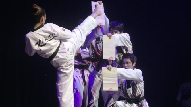 Ilustrasi taekwondo