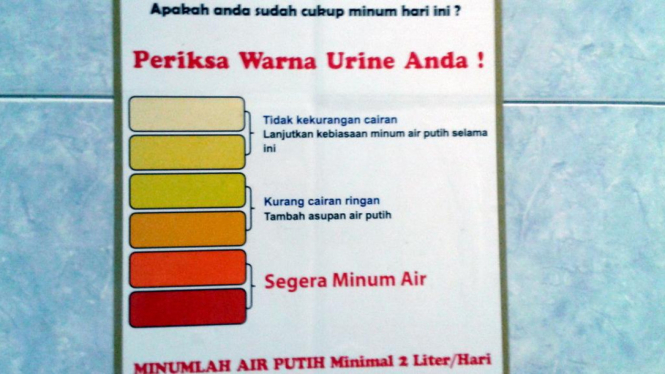Daftar warna urine