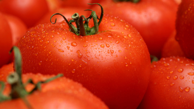 Image result for tomat untuk jantung