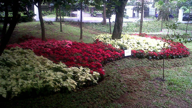 Taman Pustaka Bunga di Bandung