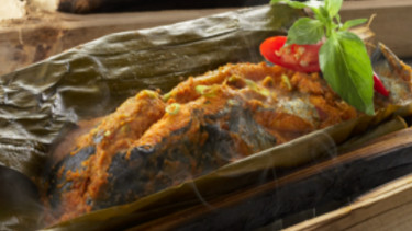 Ilustrasi ikan gurame