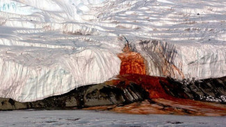 Scientists Reveal the Fun Fact about Blood Falls at Antartica