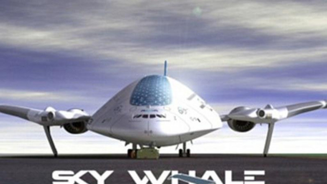 Pesawat Sky Whale