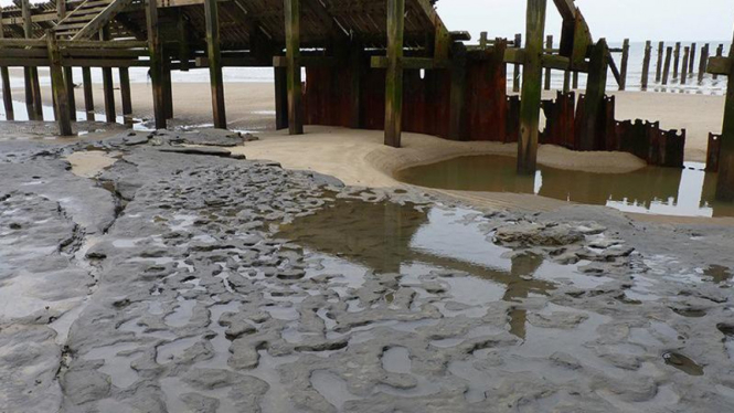 Jejak kaki manusia purba di Happisburgh, Norfolk, Inggris