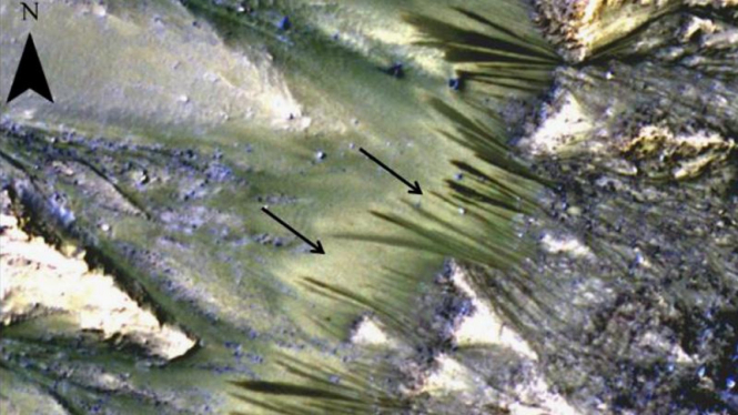 Aliran air di permukaan Mars ditandai dengan jari-jari berwarna gelap