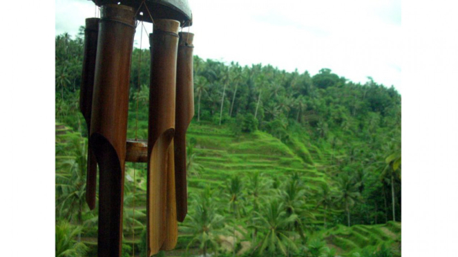 Ilustrasi Pemandangan Sawah Ubud