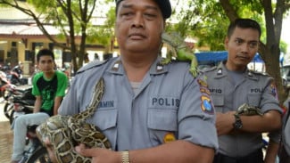 Serunya Menyayangi Satwa Ala Komunitas Reptil Tuban