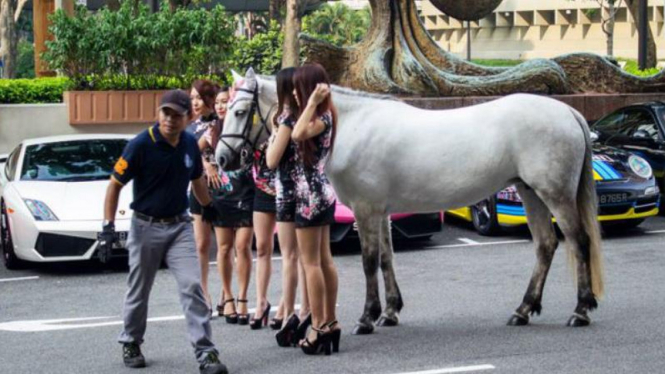 Singapore Exotic Car Club meryakan Imlek