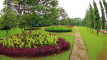 Photo Mini 6