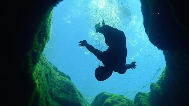 Ilustrasi diving.