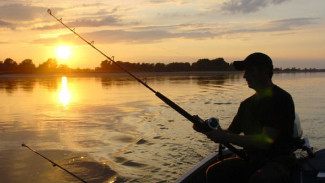 Memancing Ikan dengan Umpan Vanilla