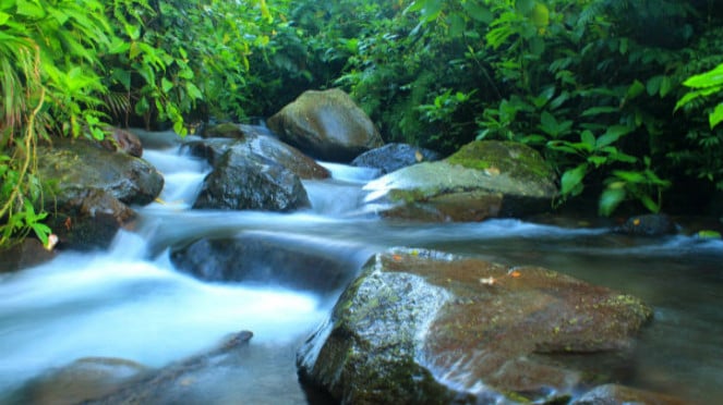 Pondok halimun.