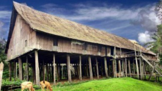 Rumah bentang suku Dayak