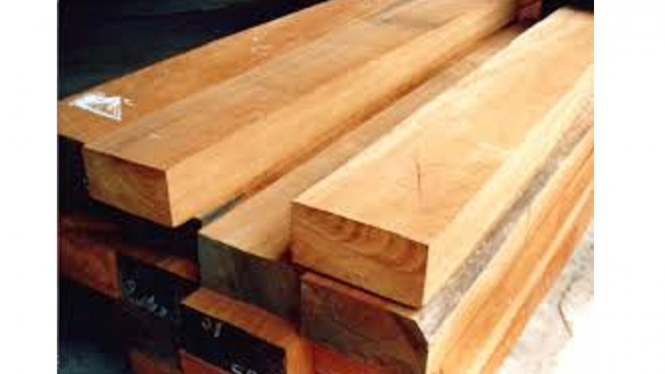 kayu Indonesia/Ilustrasi.