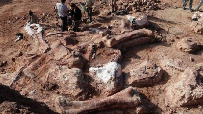 76+ Gambar Penemuan Dinosaurus Terbaik 76+ Gambar Penemuan Dinosaurus Terbaik