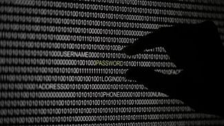 Pengguna Smartphone RI Terancam Meltdown dan Spectre