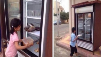 Pria Beramal Kulkas untuk Cegah Makanan Terbuang Percuma
