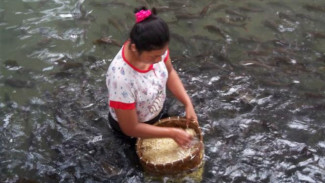 Uniknya Aktivitas Mencuci Taoge  di Sungai Gua Ngerong