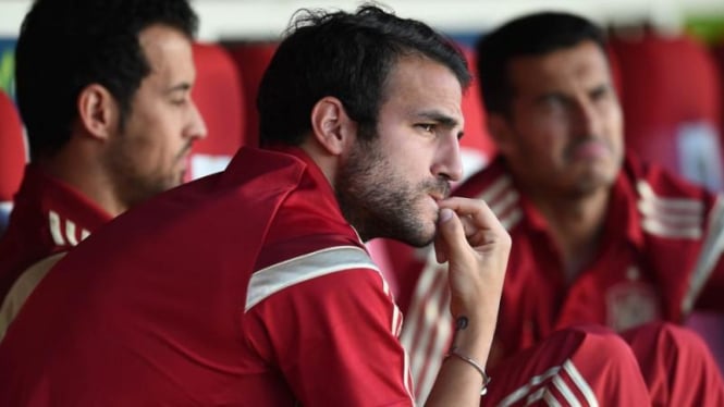 Cesc Fabregas bersama Timnas Spanyol