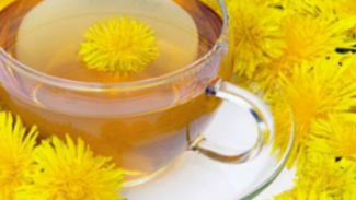 Ternyata, Daun dan Akar Dandelion Bersifat Anti Kanker